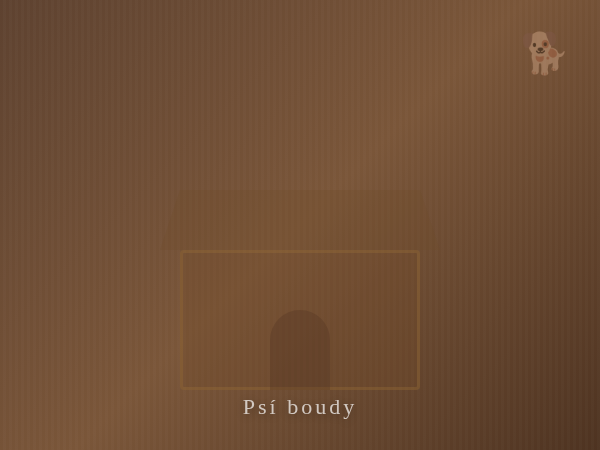 Psí boudy