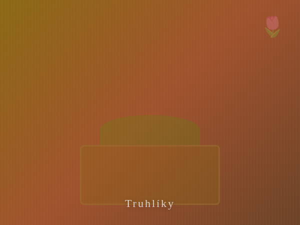 Dřevěné truhlíky